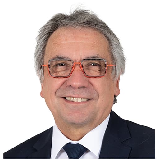 Laurent SOMON
